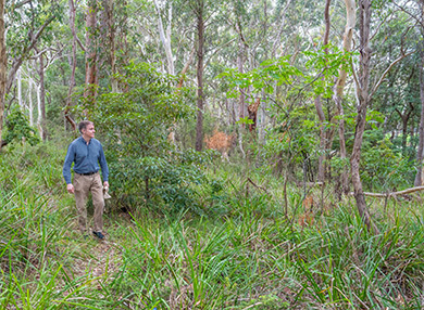 John Macris in the Sydney Turpentine-Ironbark Forest.