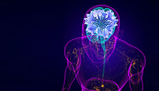 Motor Neuron Disease Research Centre