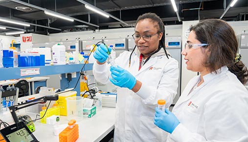 Student talent and workforce pathways