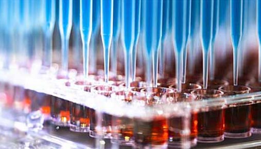 Australian Genome Foundry