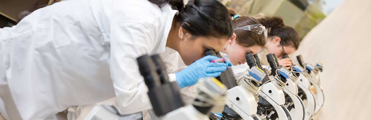 Three people in lab coats looking into microscopes.