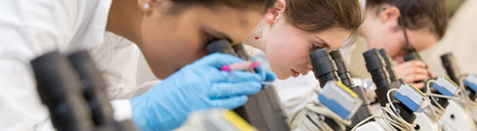 Three people in lab coats looking into microscopes.