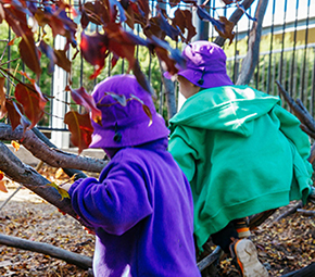 Approved Learning Frameworks (ALFs) update