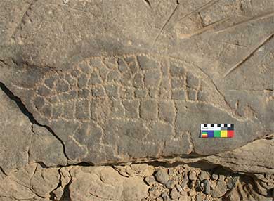 Figure of a chameleon, el-Hosh