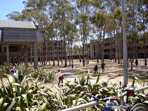 Macquarie University