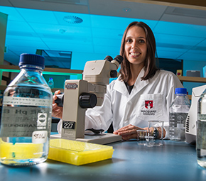 PhD and research degrees