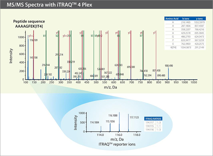 MS/MS Spectra with iTRAQ 4Plex