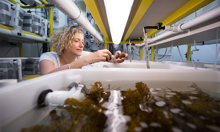 Professor Jane Williamson holding marine samples in aquaponics lab