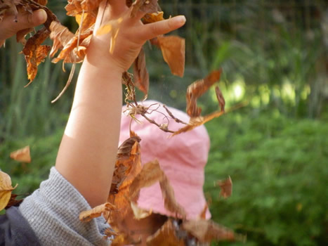 Child holding leaves