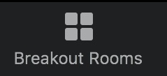 zoom breakout room logo