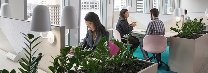 Office setting with views of the city from sleek modern workspaces flanked by indoor fern plants..