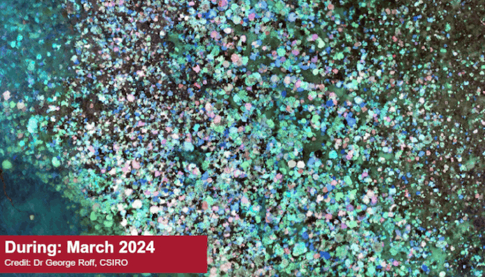 Image shows aerial shot of multi-coloured reef