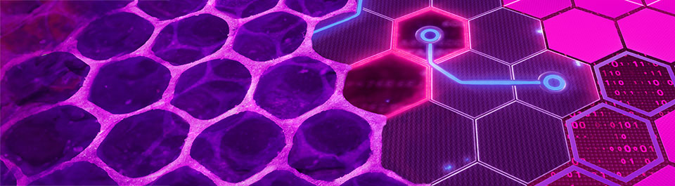 A graphic of purple, pink and blue hexagonal and circular shapes with zeros and ones in some of them