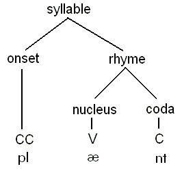 syllable structure diagram
