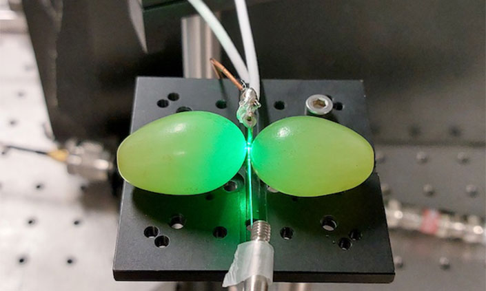 Two grapes next to each other contacting quantum sensor in experiment