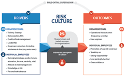 What is risk culture