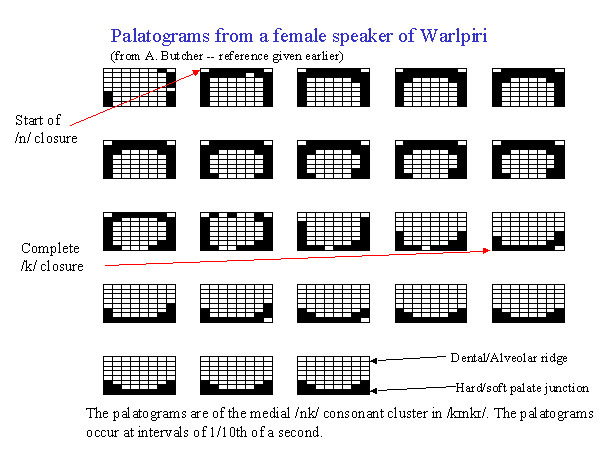 Warlpiri palatogram