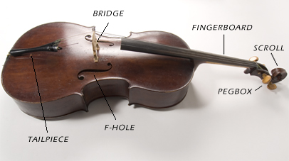 cello front view