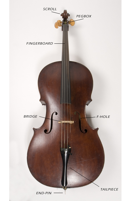 cello front view