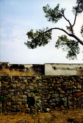 [North Wall]