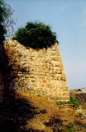 [North Wall]