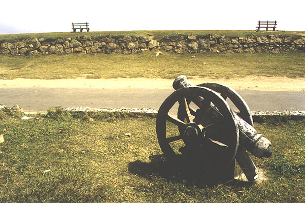 [Photo of cannon]