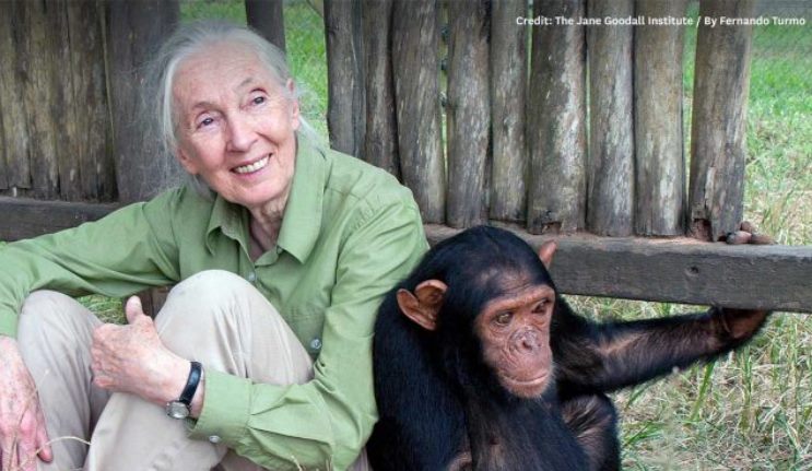 Dr Jane Goodall DBE shares inspiring message at Macquarie University