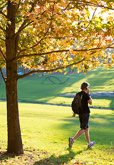 Macquarie University Campus