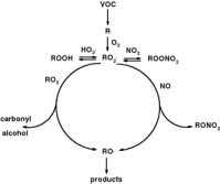 Trace gases