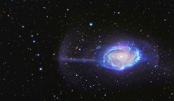  The Umbrella Galaxy, so-called because of the 'umbrella' shape on its left. This feature is the debris from a tiny galaxy torn apart by the main galaxy. The image is a combination of data from the 0.5-metre BlackBird Remote Observatory Telescope and Suprime-Cam on the eight-metre Subaru Telescope. Image copyright © 2014 R. J. GaBany (Blackbird Obs.)