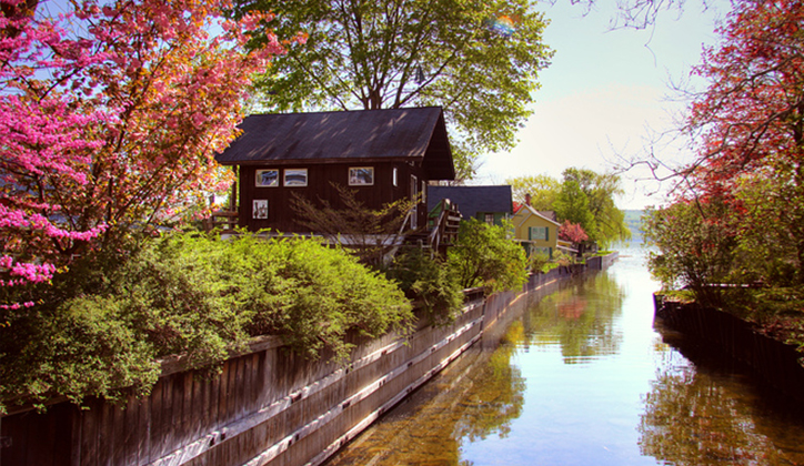 How antibiotic pollution of waterways creates superbugs