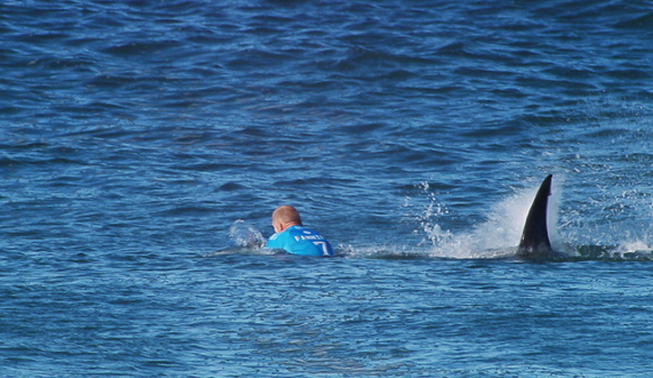  Mick Fanning being attacked by a shark during the JBay Open in Jeffreys Bay, South Africa, Sunday, July 19, 2015. AAP Image/World Surf League, Kirstin Scholtz