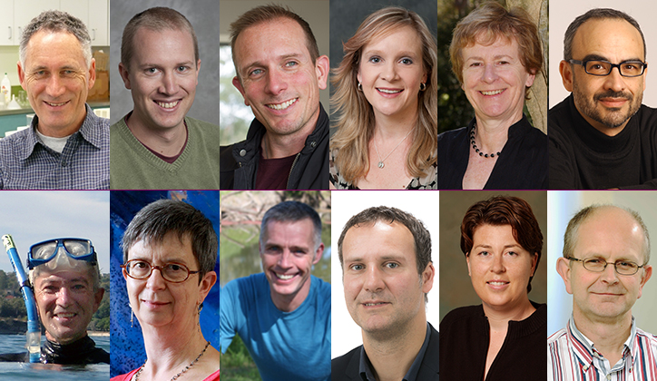  Top [L-R] Associate Professor Brian Atwell, Dr Nicholas Badcock, Associate Professor Andrew Barron, Professor Jennifer Hudson, Professor Nicki Packer and Professor Joseph Pugliese. Bottom [L-R] Professor David Raftos, Professor Wendy Rogers, Professor Mark Taylor, Professor Stefan Trueck, Professor Amanda Barnier and Professor Stephen Foley.