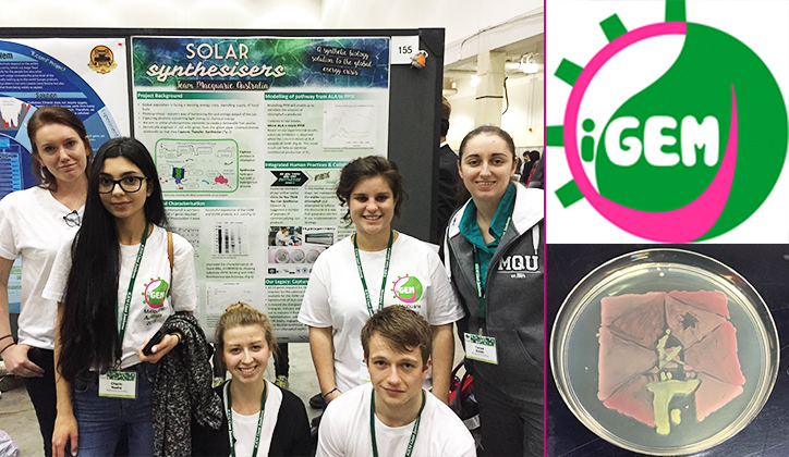 iGEM Solar synthesisers shine bright in Boston