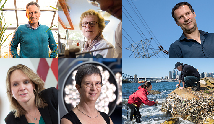  [Top] Associate Professor Brian Atwell, Professor Nicolle Packer and Professor Stefan Trueck. [Bottom] Professor Jennifer Hudson, Professor Wendy Rogers and Professor David Raftos.